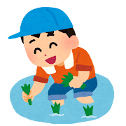 田植え