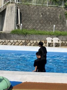 プール遊び